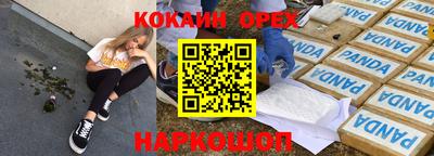 сатива Новокубанск