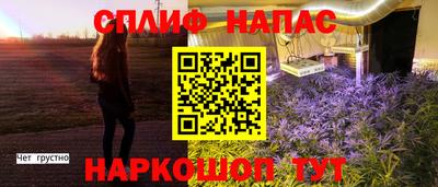 сатива Новокубанск