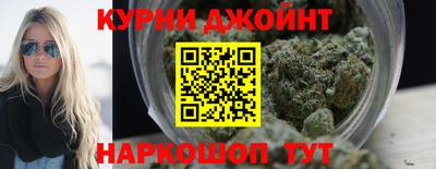 сатива Новокубанск